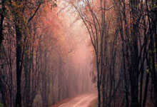 天涯论坛热议海南儋州发展，大家齐心共绘美好蓝图