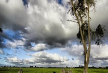 天涯论坛热议天天今天话题